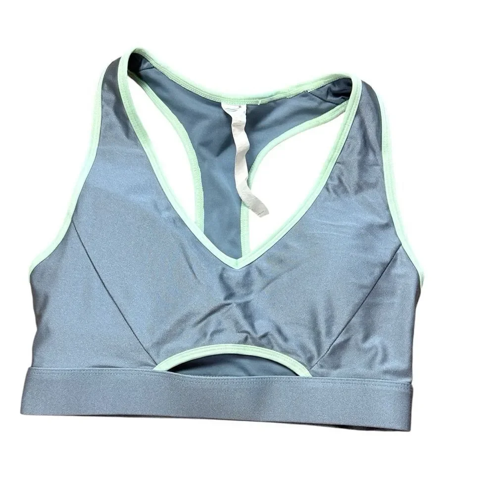 Fabletics Shimmery Silver & Sage Green Sports Bra